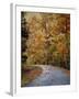 Autumn Splash-Jai Johnson-Framed Giclee Print