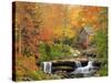 Autumn Splendor-Elizabeth Carmel-Stretched Canvas