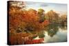 Autumn Splendor-Jessica Jenney-Stretched Canvas