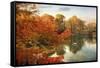 Autumn Splendor-Jessica Jenney-Framed Stretched Canvas