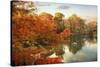 Autumn Splendor-Jessica Jenney-Stretched Canvas