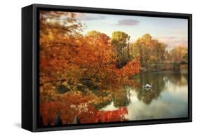 Autumn Splendor-Jessica Jenney-Framed Stretched Canvas