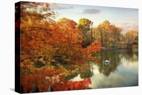 Autumn Splendor-Jessica Jenney-Stretched Canvas