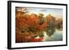 Autumn Splendor-Jessica Jenney-Framed Giclee Print