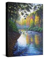 Autumn Splendor-Bruce Dumas-Stretched Canvas