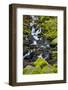 Autumn, Starvation Creek Falls, Columbia Gorge. Oregon, Usa-Michel Hersen-Framed Photographic Print