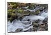 Autumn, Starvation Creek State Park, Columbia Gorge, Oregon, Usa-Michel Hersen-Framed Photographic Print