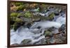 Autumn, Starvation Creek State Park, Columbia Gorge, Oregon, Usa-Michel Hersen-Framed Photographic Print