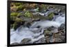 Autumn, Starvation Creek State Park, Columbia Gorge, Oregon, Usa-Michel Hersen-Framed Photographic Print