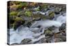 Autumn, Starvation Creek State Park, Columbia Gorge, Oregon, Usa-Michel Hersen-Stretched Canvas