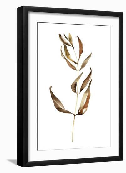 Autumn Stem II-Jennifer Goldberger-Framed Art Print