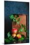 Autumn Still Life with Apples-Dina Belenko-Mounted Photographic Print