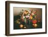 Autumn Still Life-Sarsmis-Framed Photographic Print