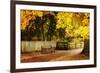 Autumn Stillness I-Alan Hausenflock-Framed Photographic Print