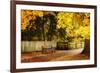 Autumn Stillness I-Alan Hausenflock-Framed Photographic Print
