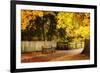 Autumn Stillness I-Alan Hausenflock-Framed Photographic Print