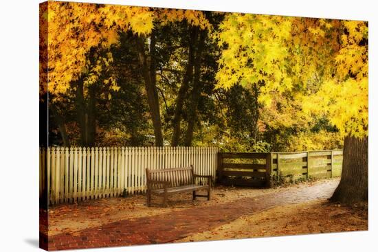 Autumn Stillness I-Alan Hausenflock-Stretched Canvas