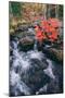 Autumn Stream at Acadia National Park, Maine-Vincent James-Mounted Photographic Print
