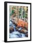 Autumn Stream Detail - Bar Harbor ,Maine-Vincent James-Framed Photographic Print