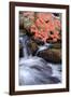 Autumn Stream II-Vincent James-Framed Photographic Print