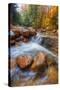 Autumn Stream in the White Mountains, New Hampshire-Vincent James-Stretched Canvas