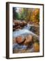 Autumn Stream in the White Mountains, New Hampshire-Vincent James-Framed Photographic Print