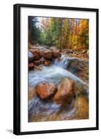 Autumn Stream in the White Mountains, New Hampshire-Vincent James-Framed Photographic Print