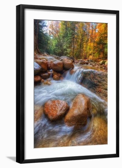 Autumn Stream in the White Mountains, New Hampshire-Vincent James-Framed Photographic Print