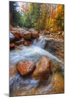 Autumn Stream in the White Mountains, New Hampshire-Vincent James-Mounted Photographic Print