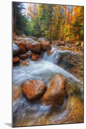 Autumn Stream in the White Mountains, New Hampshire-Vincent James-Mounted Photographic Print