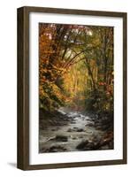 Autumn Stream of Dreams, Deep Vermont in Fall, Outside Burlington-Vincent James-Framed Photographic Print