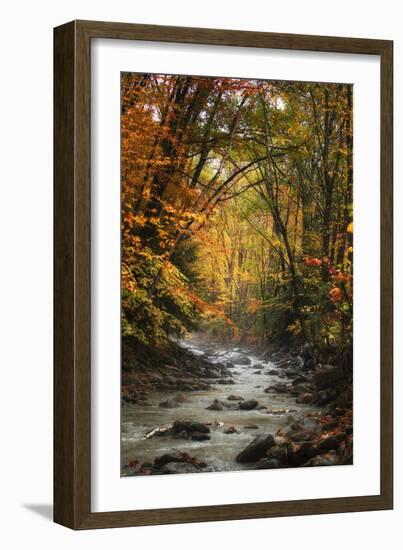 Autumn Stream of Dreams, Deep Vermont in Fall, Outside Burlington-Vincent James-Framed Photographic Print