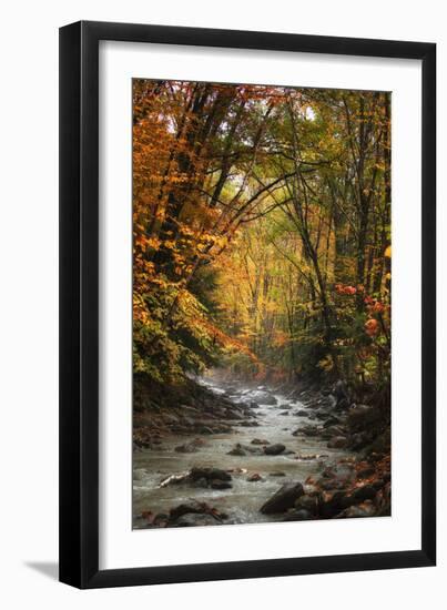 Autumn Stream of Dreams, Deep Vermont in Fall, Outside Burlington-Vincent James-Framed Photographic Print