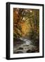 Autumn Stream of Dreams, Deep Vermont in Fall, Outside Burlington-Vincent James-Framed Photographic Print