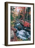Autumn Stream Revisited, Acadia Maine Coast-null-Framed Photographic Print