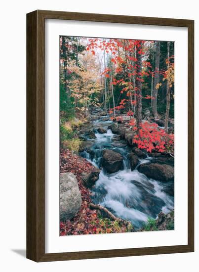 Autumn Stream Revisited, Acadia Maine Coast-null-Framed Photographic Print