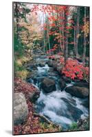 Autumn Stream Revisited, Acadia Maine Coast-null-Mounted Photographic Print