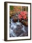 Autumn Stream Through Acadia-Vincent James-Framed Photographic Print