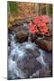 Autumn Stream Through Acadia-Vincent James-Mounted Photographic Print