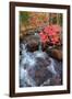 Autumn Stream Through Acadia-Vincent James-Framed Photographic Print