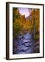 Autumn Stream View, Biship Creek Canyon Eastern Sierras-Vincent James-Framed Photographic Print