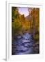 Autumn Stream View, Biship Creek Canyon Eastern Sierras-Vincent James-Framed Photographic Print