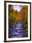 Autumn Stream View, Biship Creek Canyon Eastern Sierras-Vincent James-Framed Photographic Print