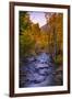 Autumn Stream View, Biship Creek Canyon Eastern Sierras-Vincent James-Framed Photographic Print