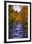 Autumn Stream View, Biship Creek Canyon Eastern Sierras-Vincent James-Framed Photographic Print