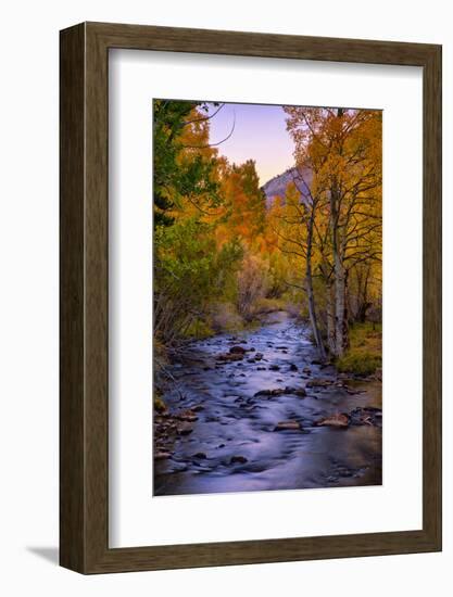 Autumn Stream View, Biship Creek Canyon Eastern Sierras-Vincent James-Framed Photographic Print