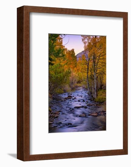 Autumn Stream View, Biship Creek Canyon Eastern Sierras-Vincent James-Framed Photographic Print