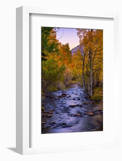 Autumn Stream View, Biship Creek Canyon Eastern Sierras-Vincent James-Framed Photographic Print