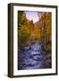 Autumn Stream View, Biship Creek Canyon Eastern Sierras-Vincent James-Framed Photographic Print