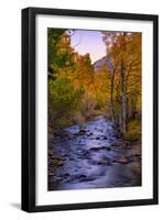 Autumn Stream View, Biship Creek Canyon Eastern Sierras-Vincent James-Framed Photographic Print